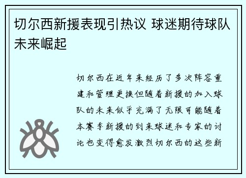 切尔西新援表现引热议 球迷期待球队未来崛起